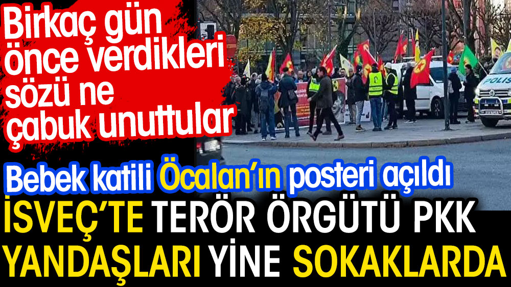 İsveç'te terör örgütü PKK yandaşları yine sokaklarda. İsveç verdiği sözü ne çabuk unuttu. Bebek katili Öcalan'ın posteri açıldı