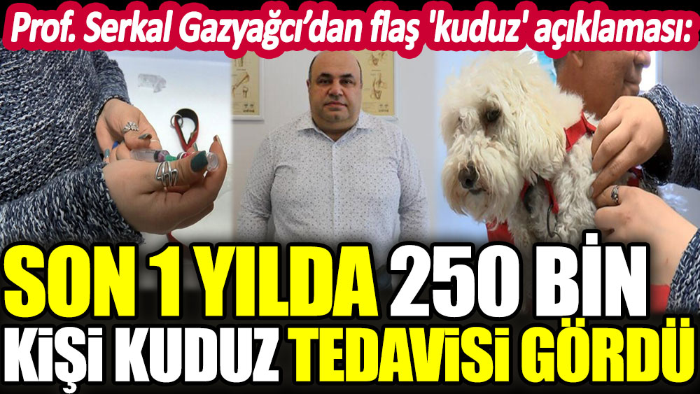 Prof. Serkal Gazyağcı’dan flaş 'kuduz' açıklaması: Son 1 yılda 250 bin kişi tedavi gördü