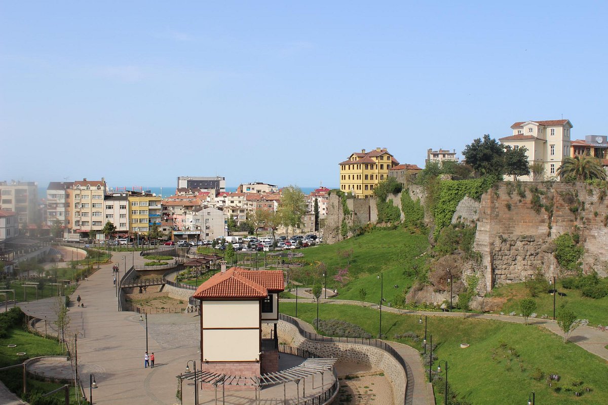 Trabzon Ortahisar’da icradan satılık tarla