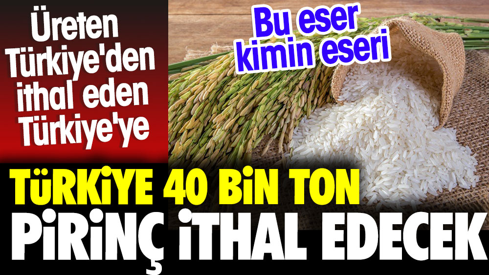 Türkiye 40 bin ton pirinç ithal edecek. Bu eser kimin eseri