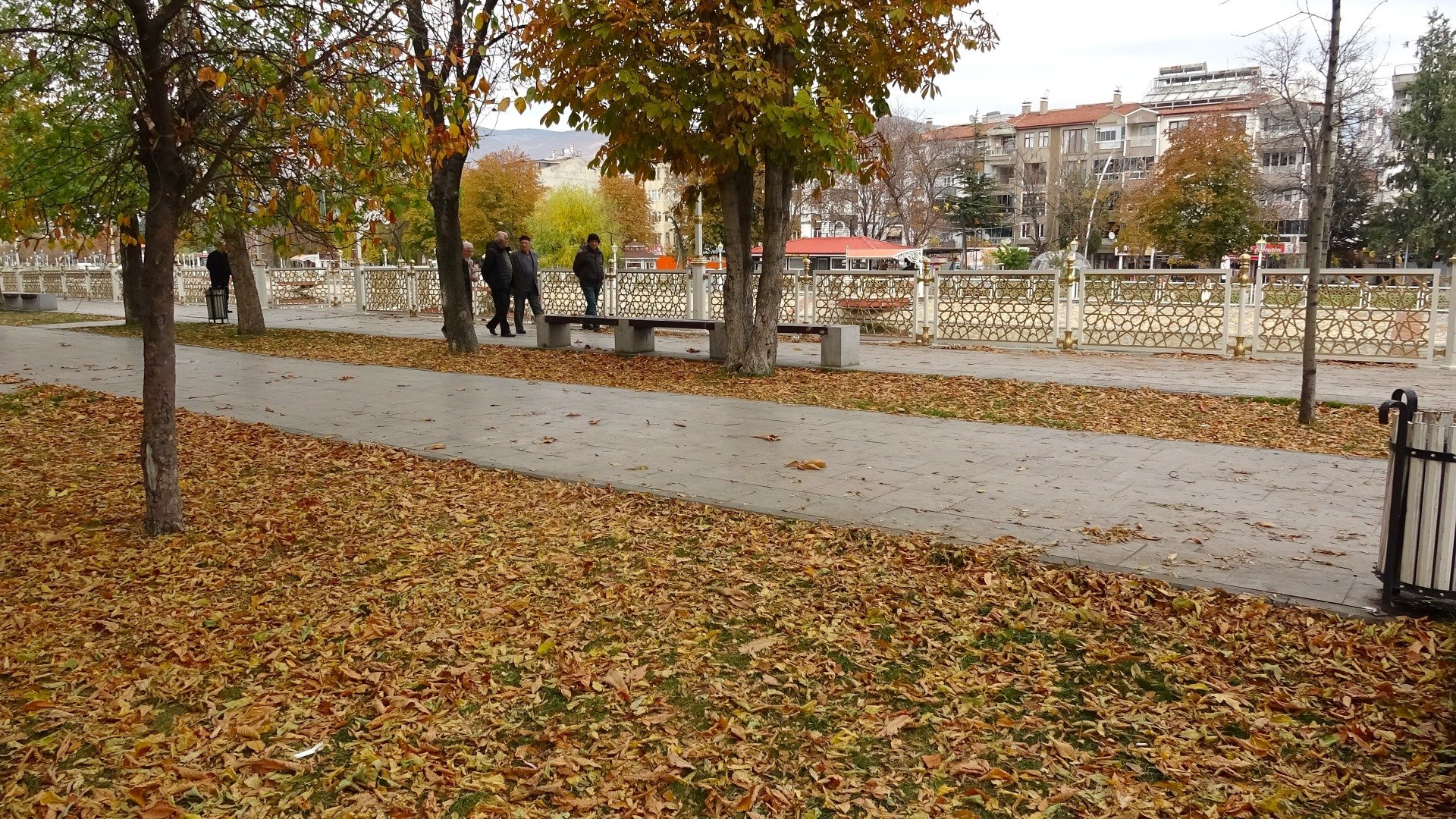 Tokat'ta yaprakların süpürülmesi yasaklandı