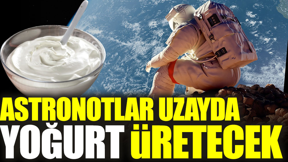 Astronotlar uzayda yoğurt üretecek