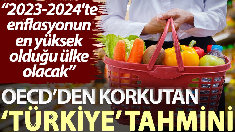 OECD’den korkutan ‘Türkiye’ tahmini: 2023-2024'te enflasyonun en yüksek olduğu ülke olacak