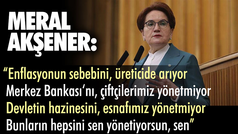 Meral Akşener'den Erdoğan'a ekonomi tepkisi: Hepsini sen yönetiyorsun, sen