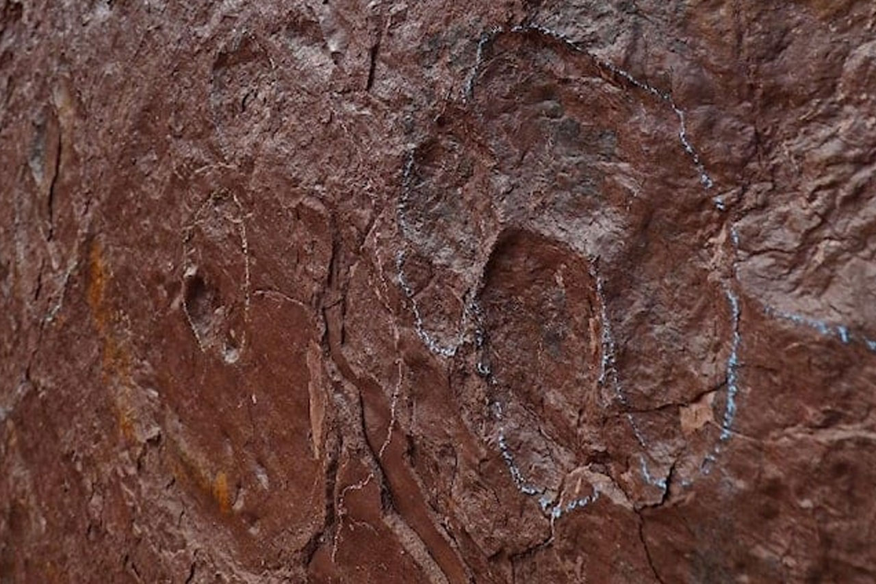Çin’de dinozor ayak izleri bulundu