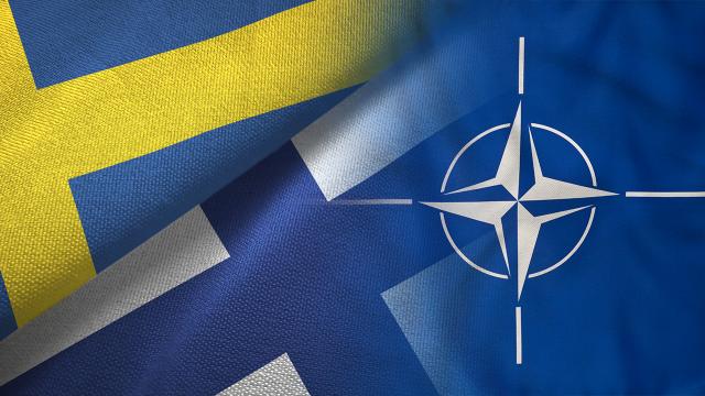 Macaristan, Finlandiya ve İsveç'in NATO onay sürecini erteledi