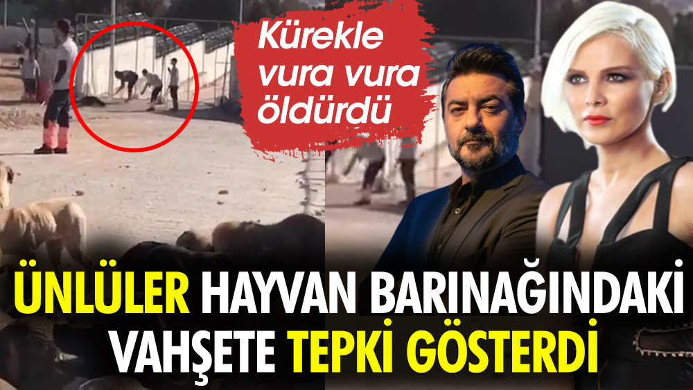Ünlü isimler Konya'daki hayvan barınağındaki vahşete tepki gösterdi