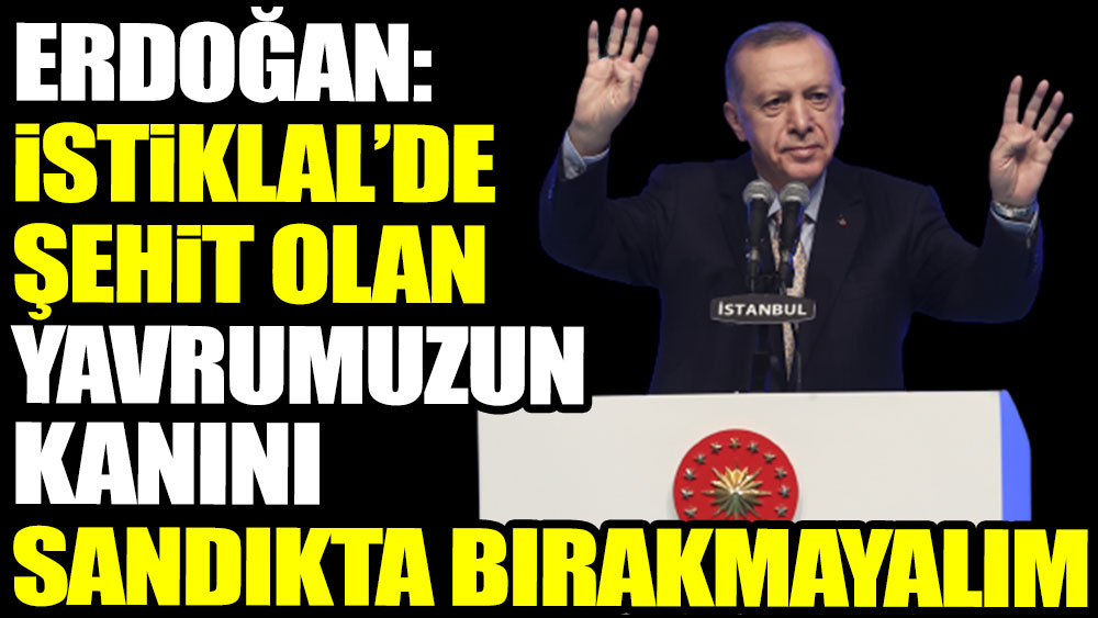 Erdoğan: İstiklal’de şehit olan yavrumuzun kanını sandıkta bırakmayalım