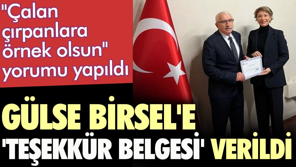 Gülse Birsel'e 'Teşekkür Belgesi' verildi. "Çalan çırpanlara örnek olsun" yorumu yapıldı