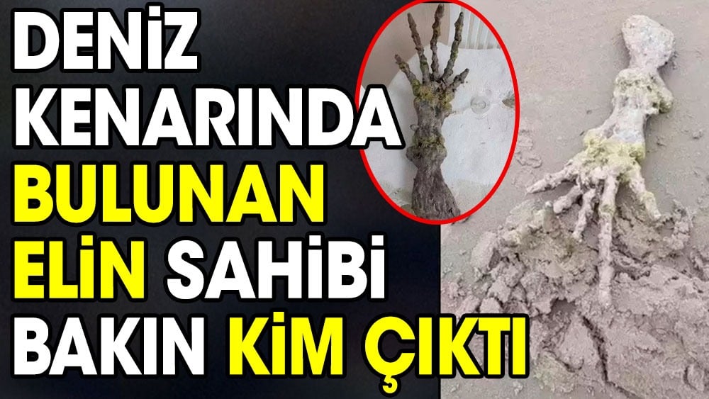 Deniz kenarında bulunan elin sahibi bakın kim çıktı