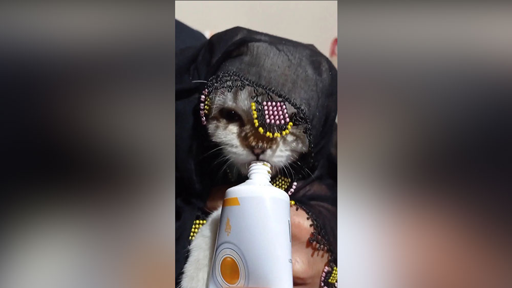 Yazma taktığı kediyi türküler eşliğinde besledi