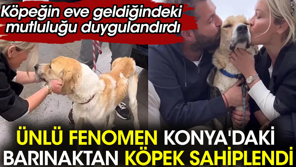 Fenomen Meriç Keskin Konya'daki barınaktan köpek sahiplendi