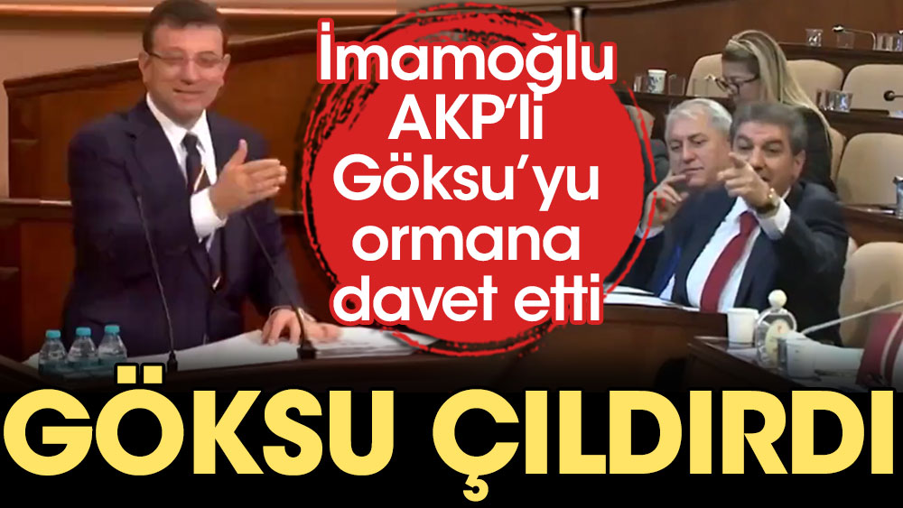 İmamoğlu AKP'li Göksu'yu ormana davet edince Göksu çıldırdı