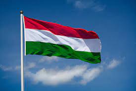Macaristan OHAL'i 7 ay daha uzattı