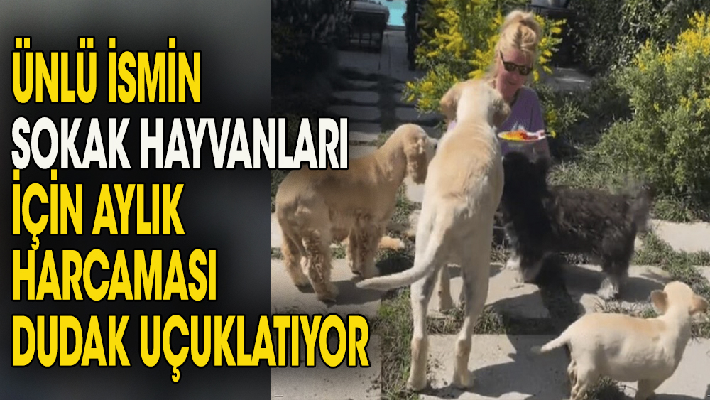 Derin Mermerci'nin sokak hayvanları için aylık harcaması küçük bir servet değerinde