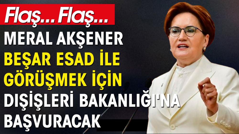 Meral Akşener Beşar Esad ile görüşmek için Dışişleri Bakanlığı'na başvuracak