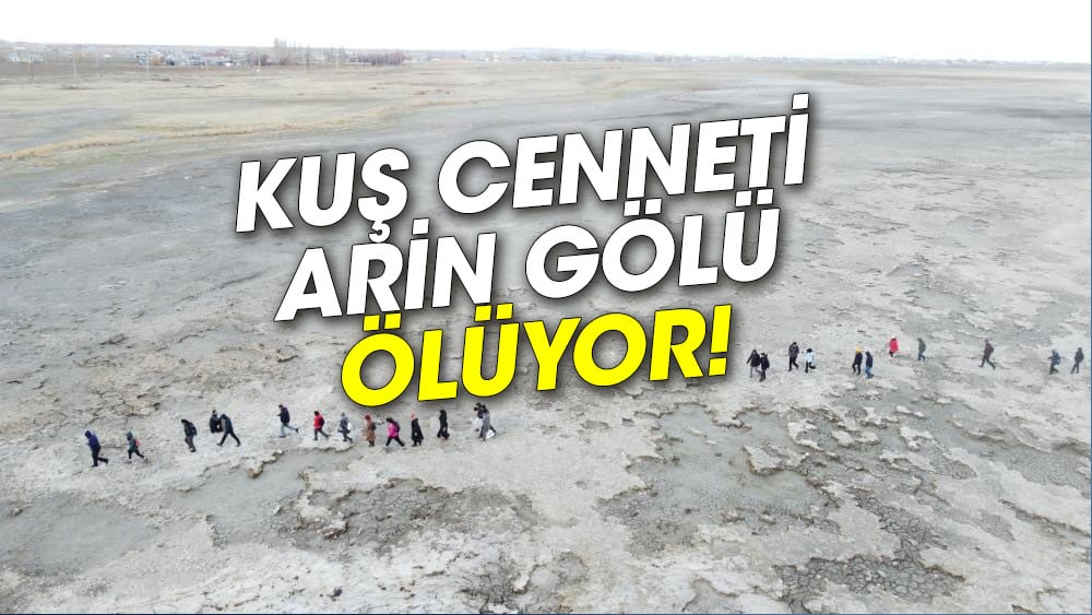 Kuş cenneti Arin Gölü ölüyor