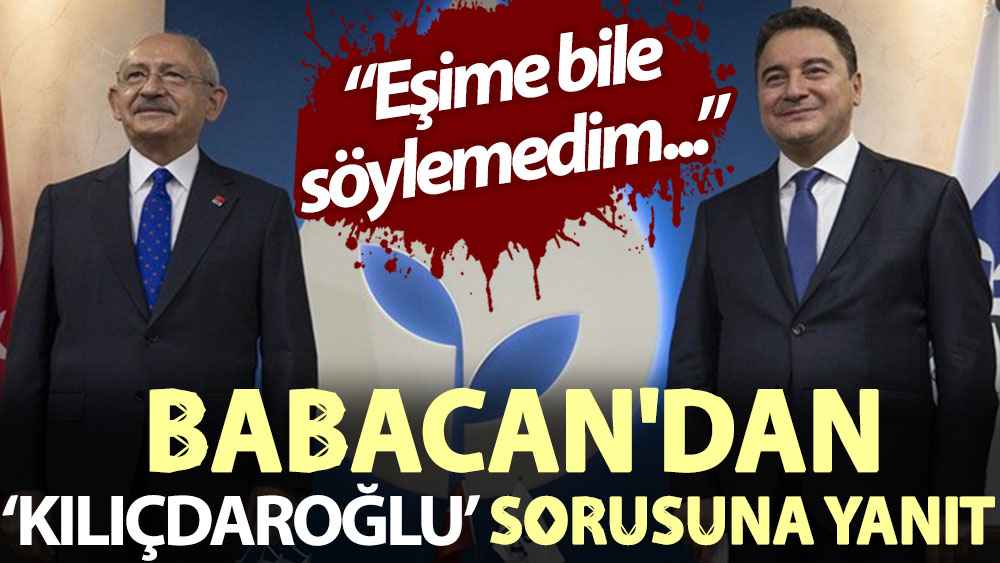 Babacan'dan 'Kılıçdaroğlu' sorusuna yanıt: Eşime bile söylemedim