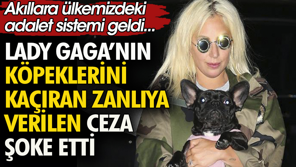 Lady Gaga’nın köpeklerini kaçıran saldırgana 21 yıl hapis cezası.