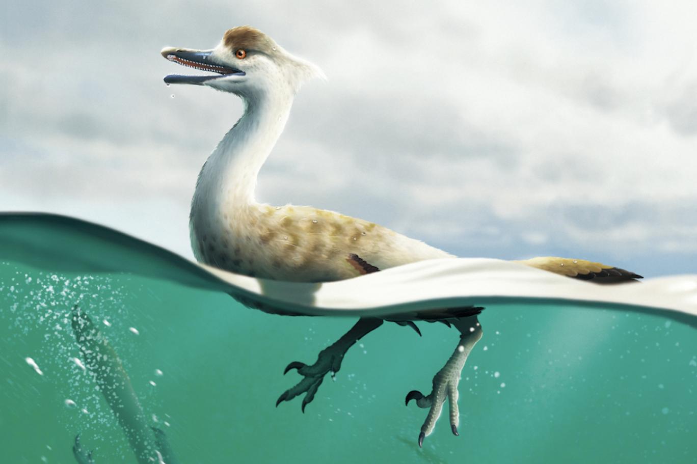 Bilim insanları ördeğe benzeyen bir dinozor türü keşfetti