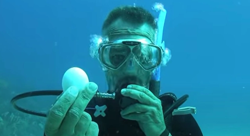 Suyun altında yumurta kırılırsa ne olur?