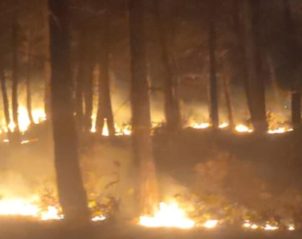 Osmaniye’de orman yangını