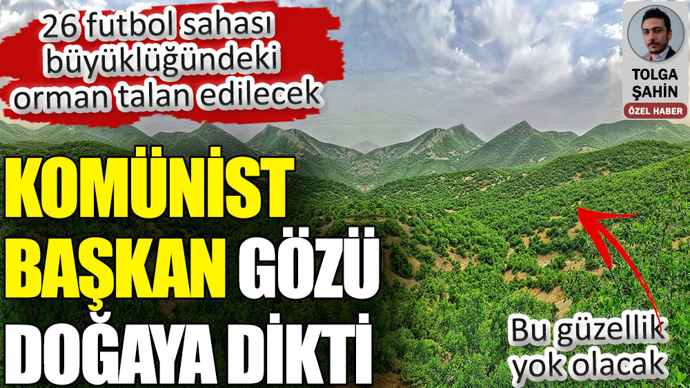 Tunceli Belediyesi’nin komünist başkanı Fatih Mehmet Maçoğlu gözü doğaya dikti. 26 futbol sahası büyüklüğündeki orman talan edilecek