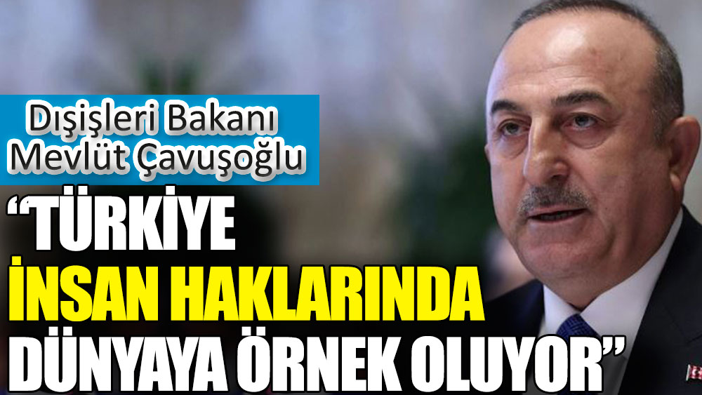 Dışişleri Bakanı Mevlüt Çavuşoğlu: Türkiye insan haklarında dünyaya örnek oluyor