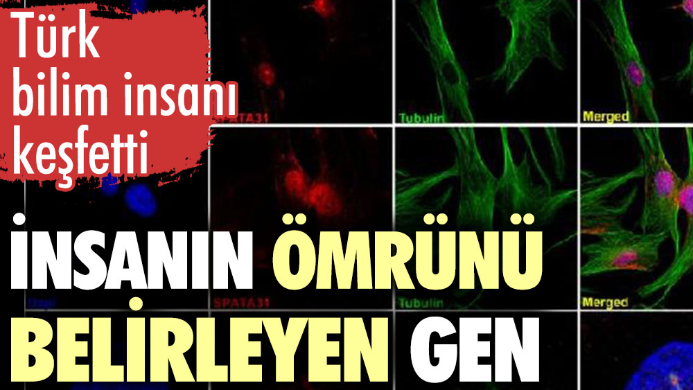 Türk bilim insanı Bekpen, insanın ömrünü belirleyen geni buldu