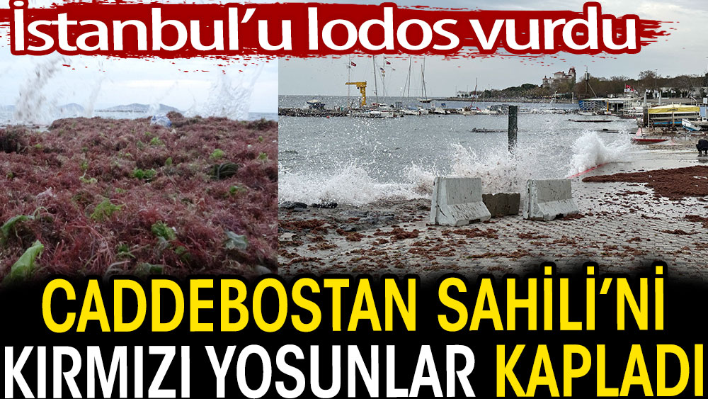İstanbul'u lodos vurdu. Caddebostan Sahili’ni kırmızı yosun kapladı