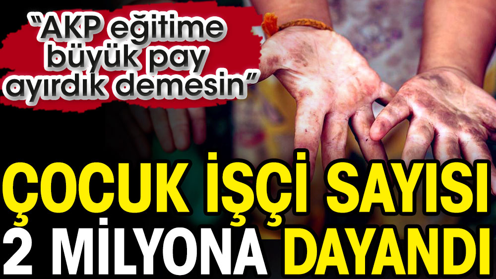 Çocuk işçi sayısı 2 milyona dayandı. “AKP eğitime büyük pay ayırdık demesin”