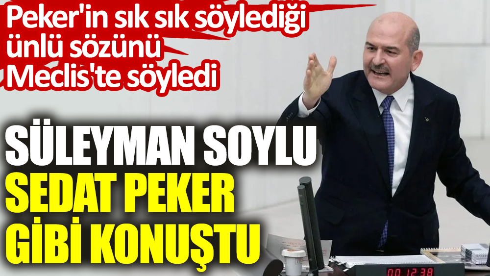 Süleyman Soylu Mecliste Sedat Peker gibi konuştu. Peker'in sık sık söylediği ünlü sözünü Meclis'te söyledi