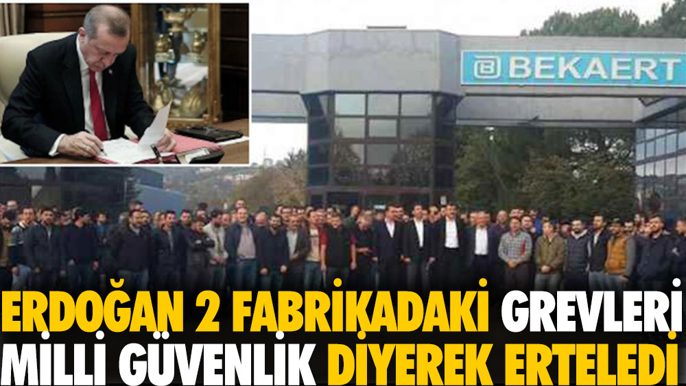 Erdoğan iki fabrikadaki grevleri Milli Güvenlik diyerek erteledi