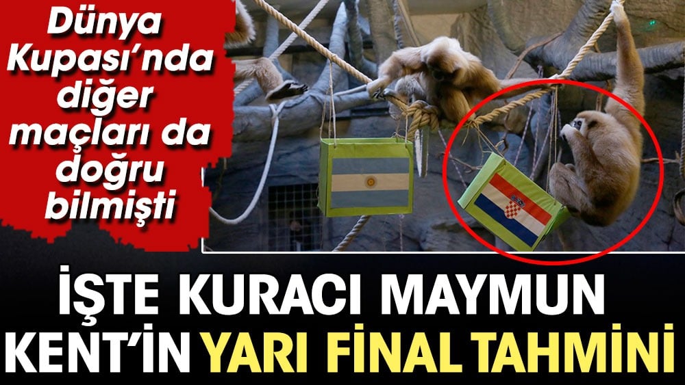 Kuracı maymun Arjantin Hırvatistan maçının sonucunu açıkladı