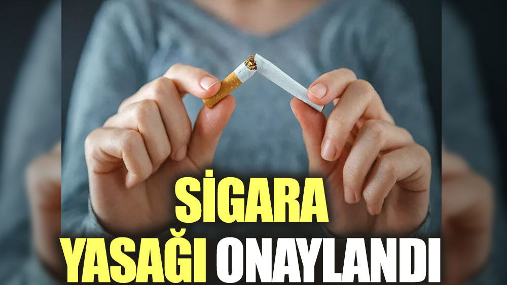 Yeni nesil için sigara yasağı onaylandı