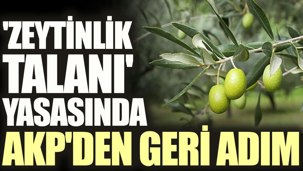 Zeytinlik talanı yasasında AKP'den geri adım