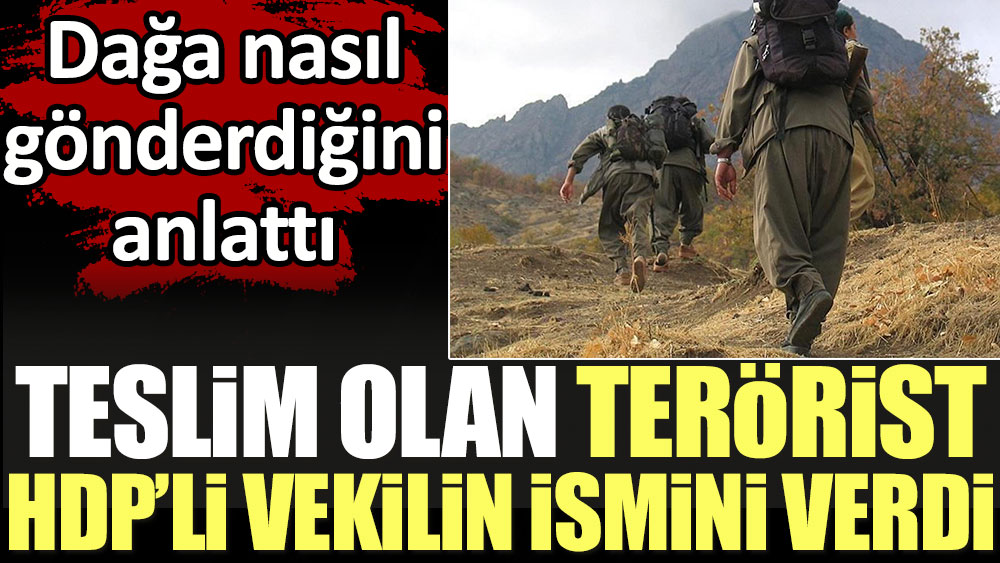 Teslim olan terörist HDP'li vekilin ismini verdi dağa nasıl gönderdiğini anlattı