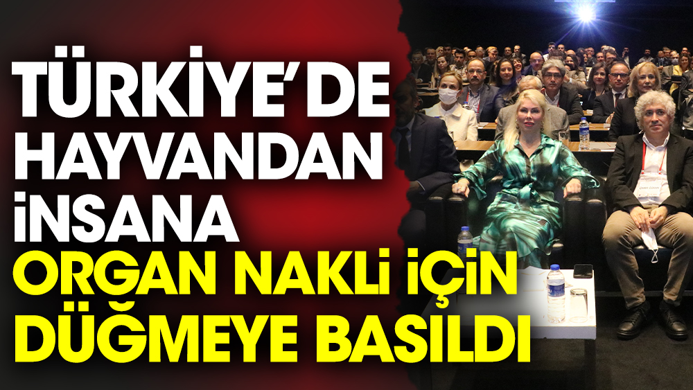 Türkiye’de hayvandan insana organ nakli için düğmeye basıldı