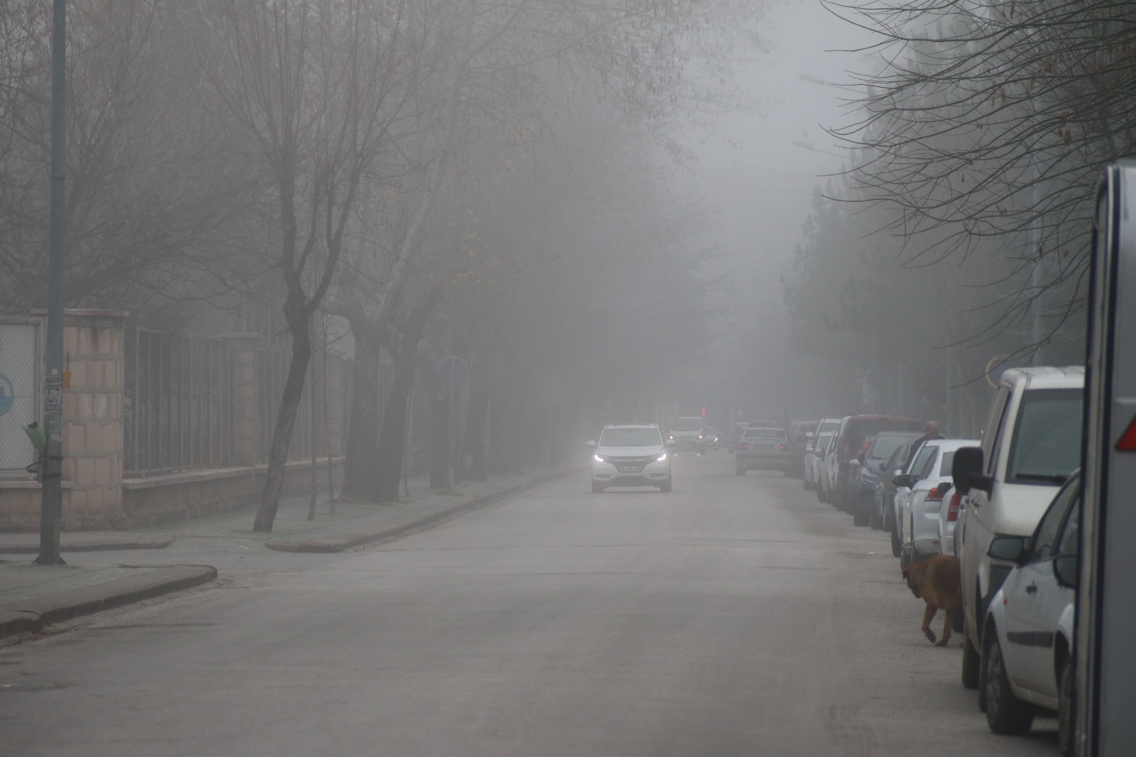 Eskişehir'de yoğun sis etkili oldu