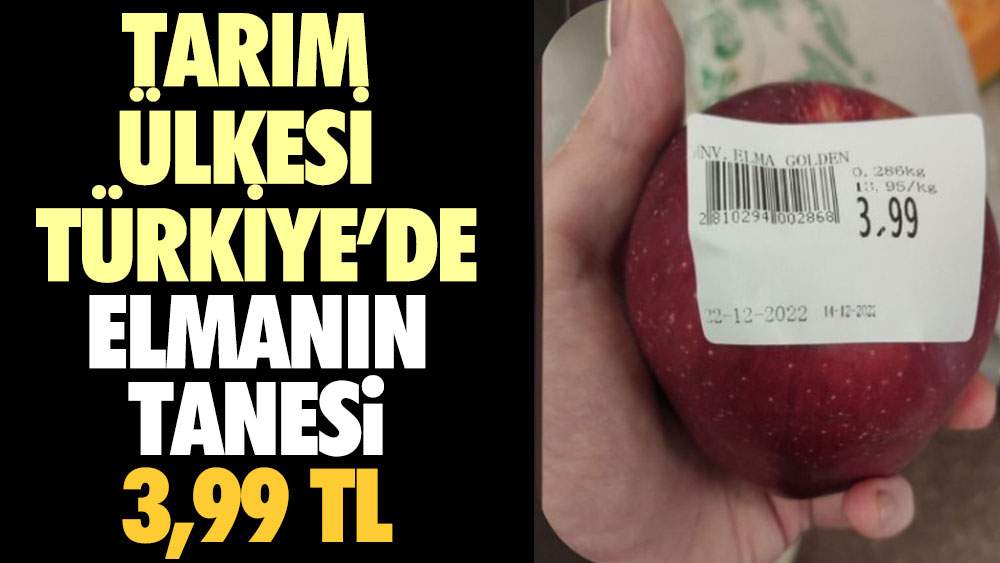 Elmanın tanesi 4 TL. Tarım ülkesi Türkiye'de elma tane ile satılmaya başladı