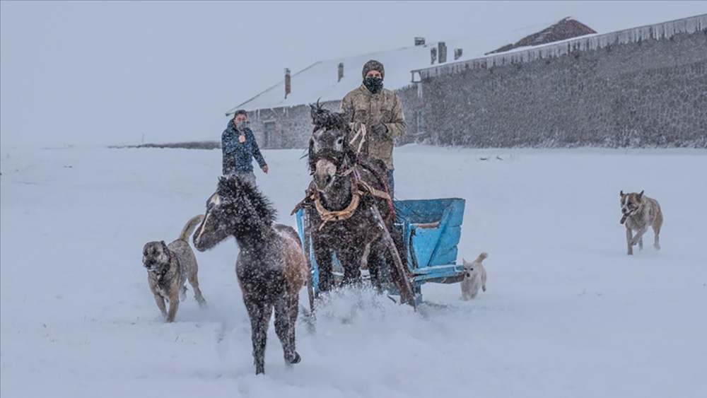 Doğu Anadolu'da soğuk hava ve kar etkili oluyor