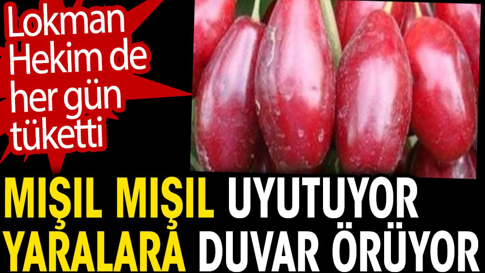 Mışıl mışıl uyutuyor. Yaralara duvar örüyor. Lokman Hekim de her gün tükettin