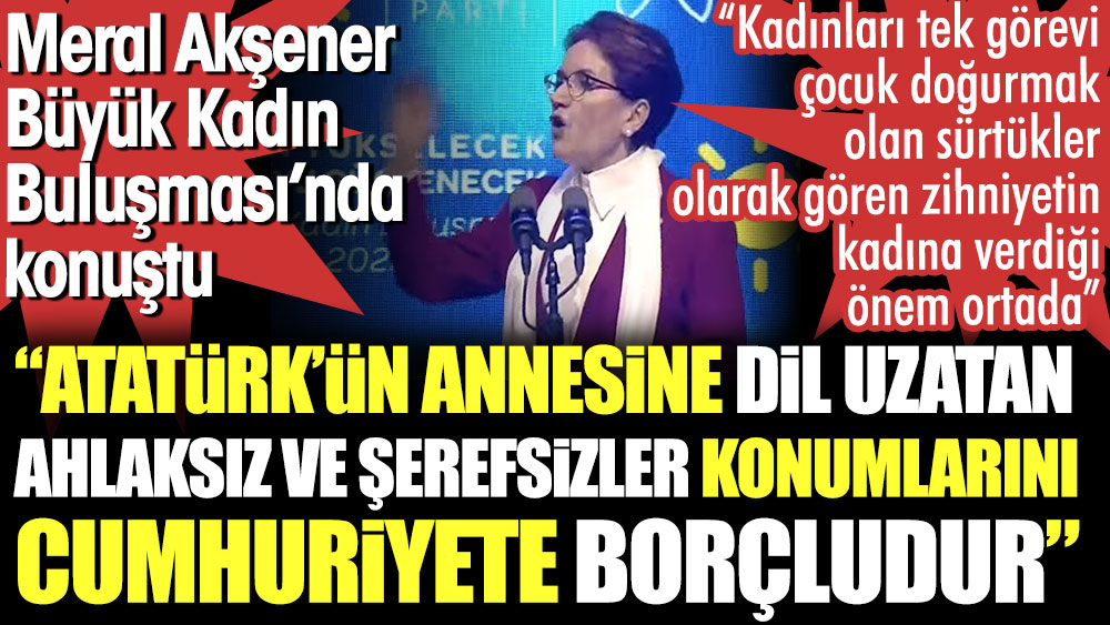 Meral Akşener: Atatürk'ün annesine dil uzatan ahlaksız ve şerefsizler konumlarını Cumhuriyete borçludur