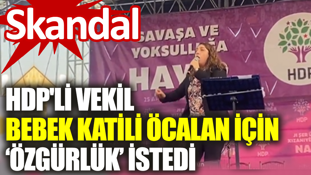 HDP'li vekil bebek katili Öcalan için ‘özgürlük’ istedi 