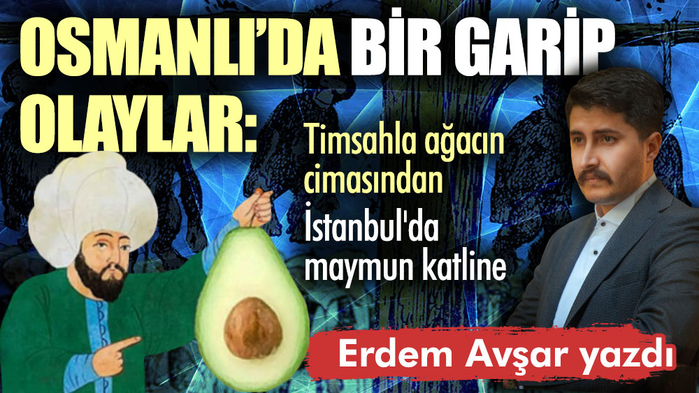 Osmanlı’da bir garip olaylar: Timsahla ağacın cimasından, İstanbul'da maymun katline