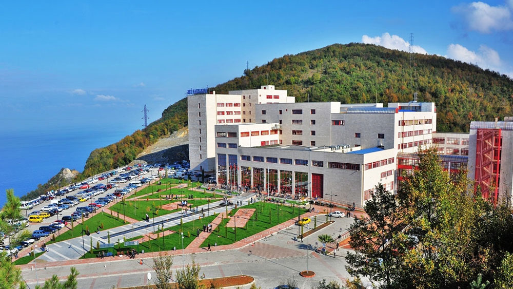 Zonguldak Bülent Ecevit Üniversitesi 1 akademik personel alacak