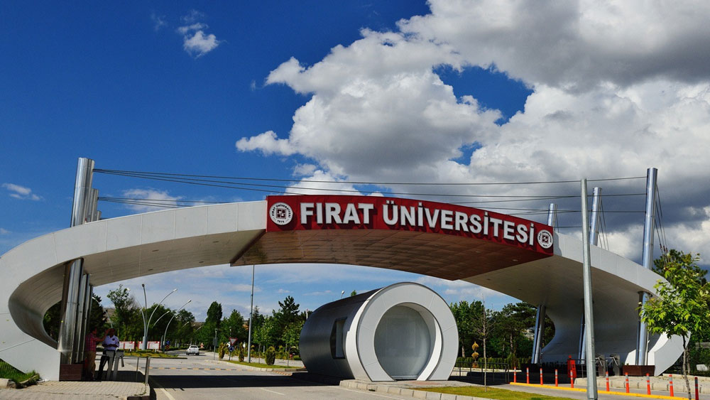 Fırat Üniversitesi akademik personel alacak