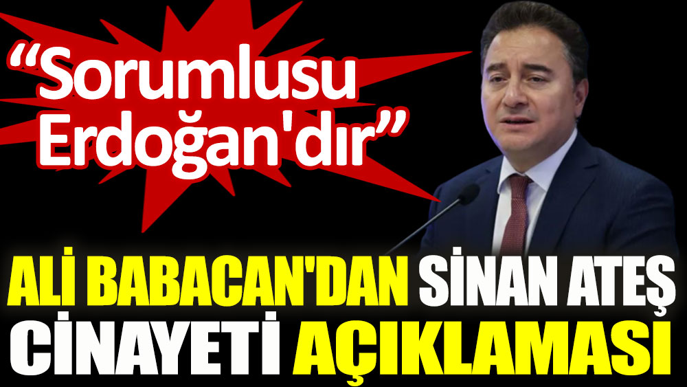 Ali Babacan'dan Sinan Ateş cinayeti açıklaması: Sorumlusu Erdoğan'dır
