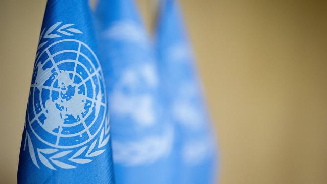 Birleşmiş Milletler'den Suriye ve mağduriyet açıklaması