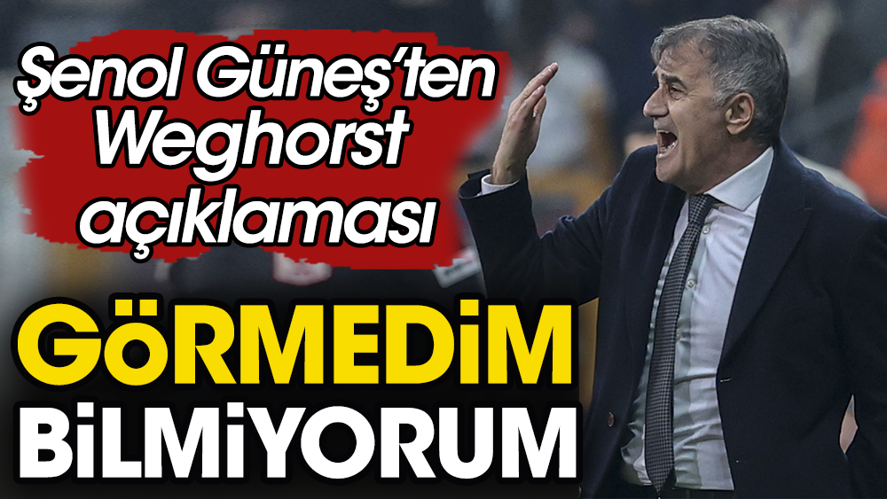 Şenol Güneş'ten flaş Weghorst açıklaması